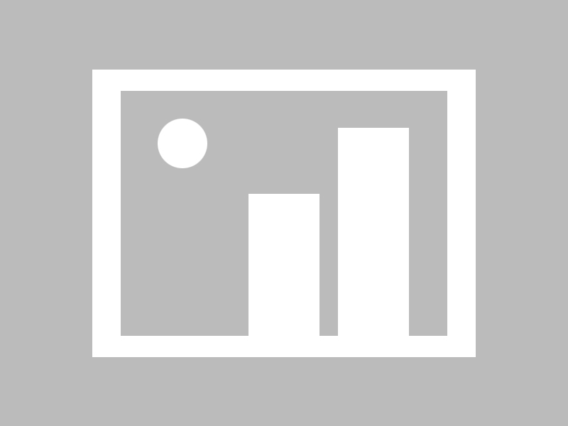 五星级酒店餐饮服务员工作计划表，精细化管理的专业指南